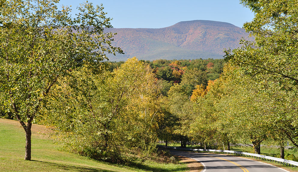 Cairo New York Catskill Mountain Views