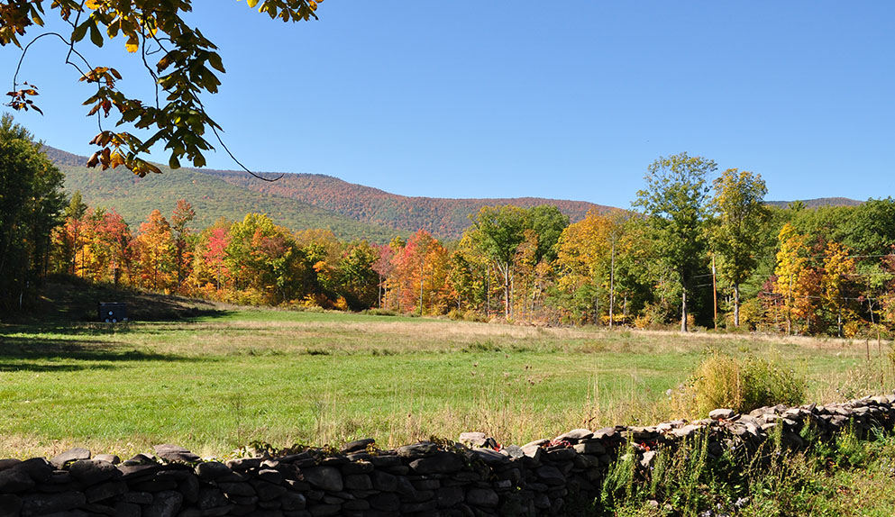 Catskill Mountain Views From Cairo New York 