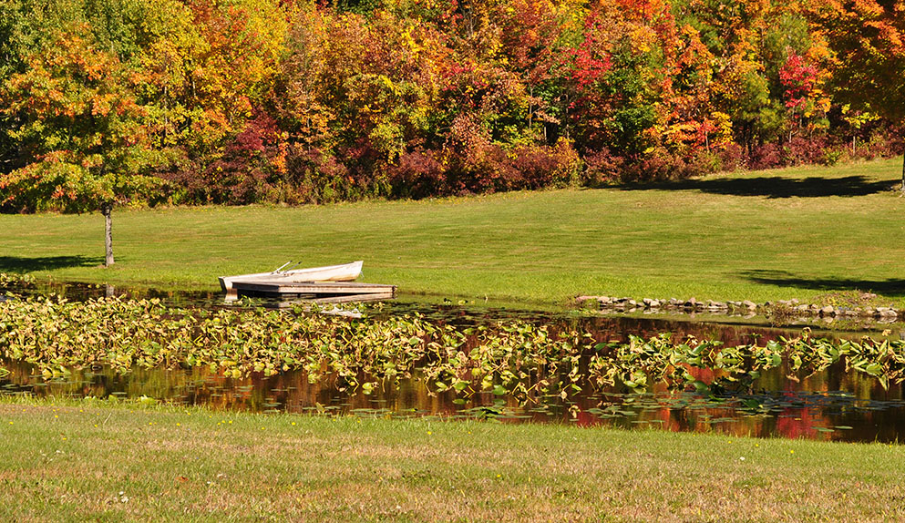 Autumn In Cairo New York