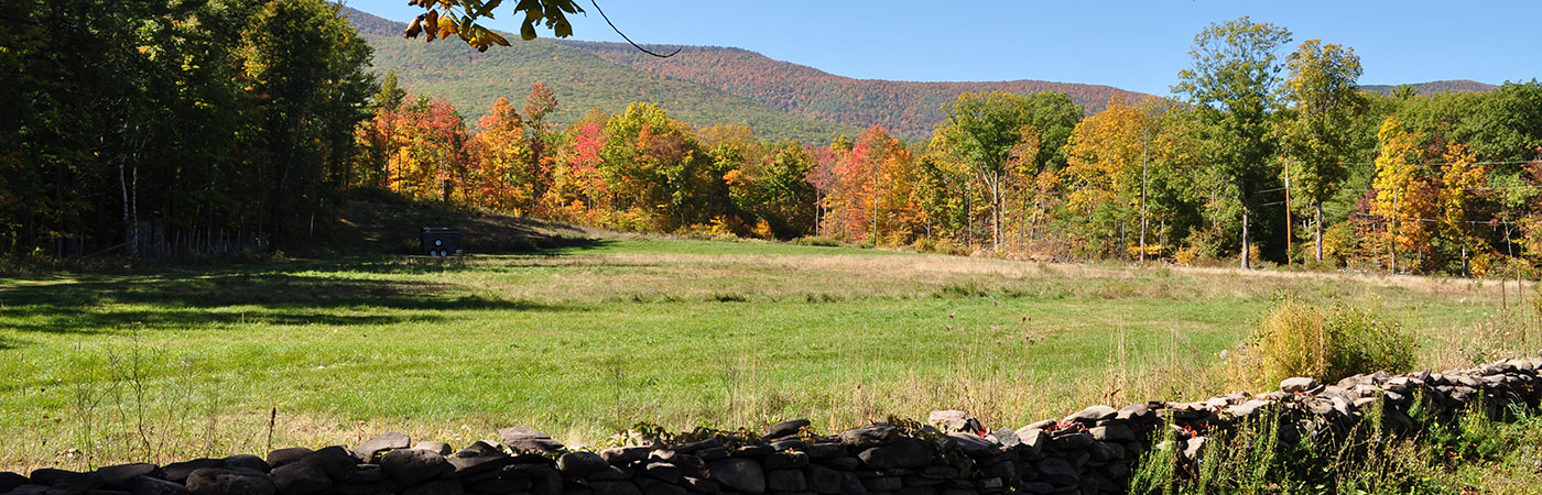 Catskill Mountain Views From Cairo New York