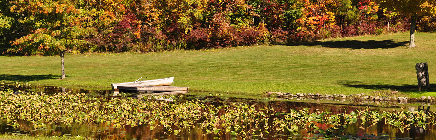 Autumn In Cairo New York