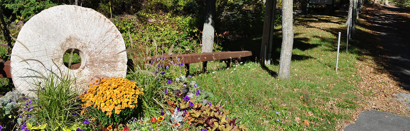 Cairo New York History