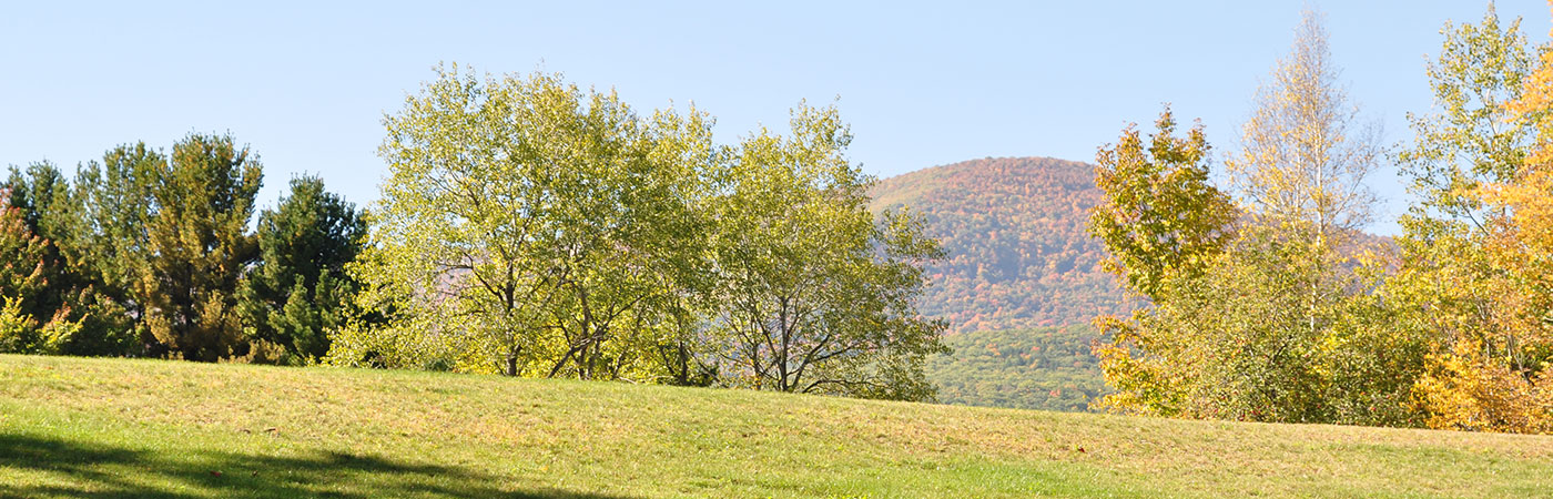 Cairo New York Catskill Mountains