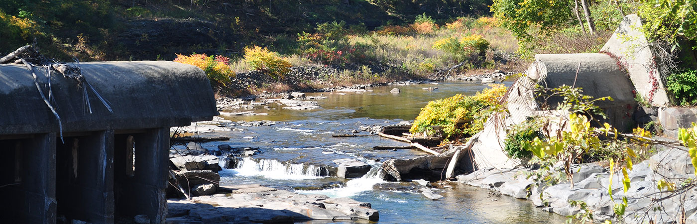 Cairo New York Catskill Mountains